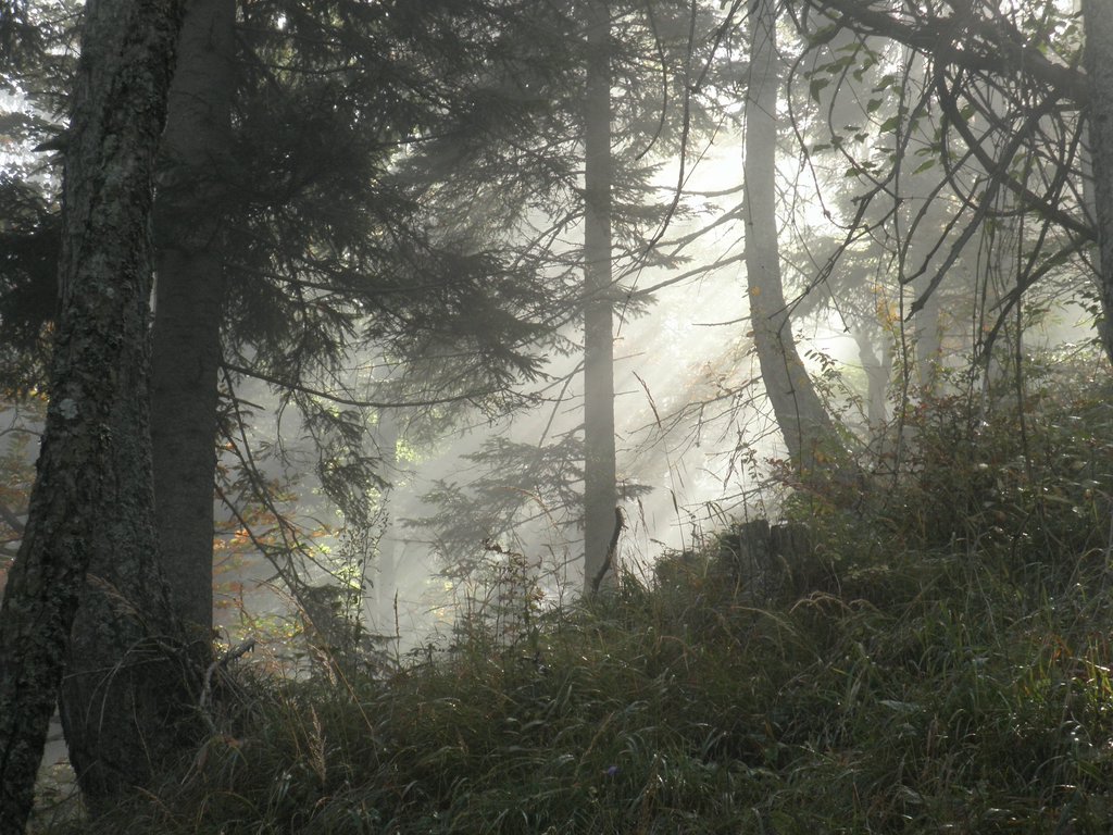 PA020015.JPG