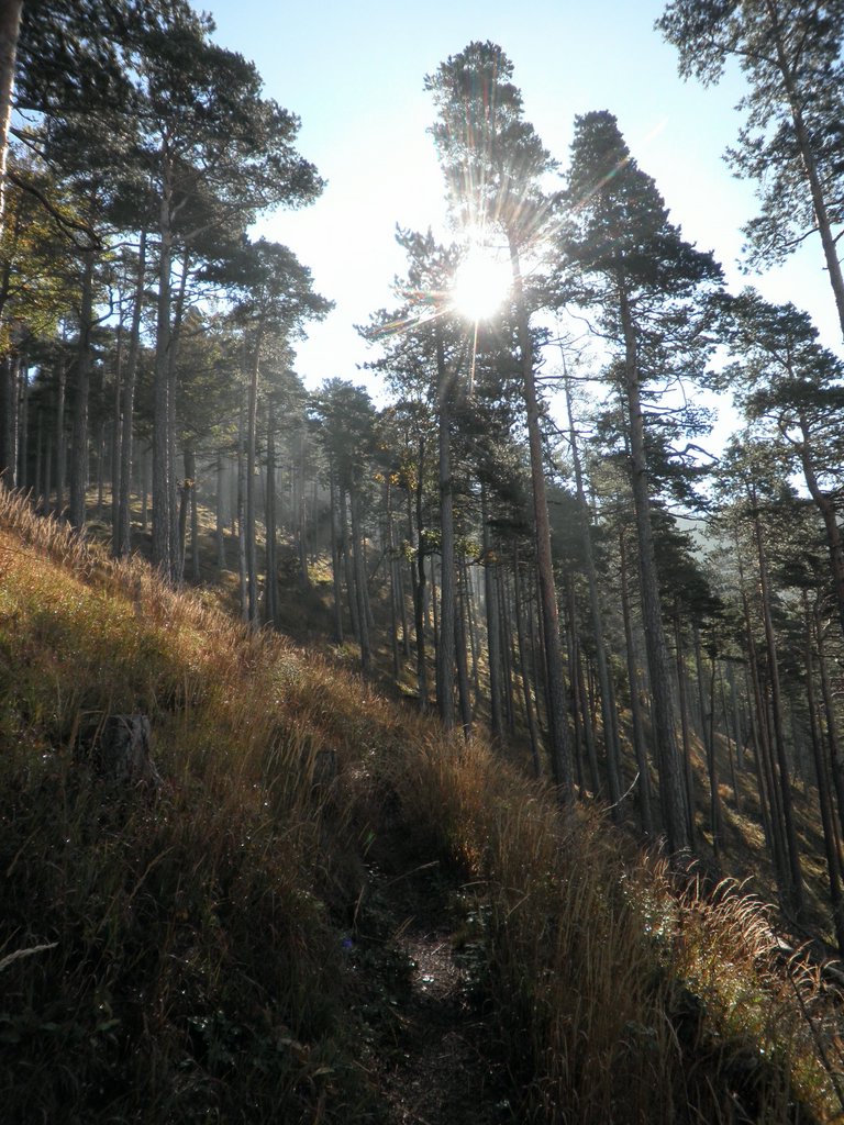 PA020018.JPG