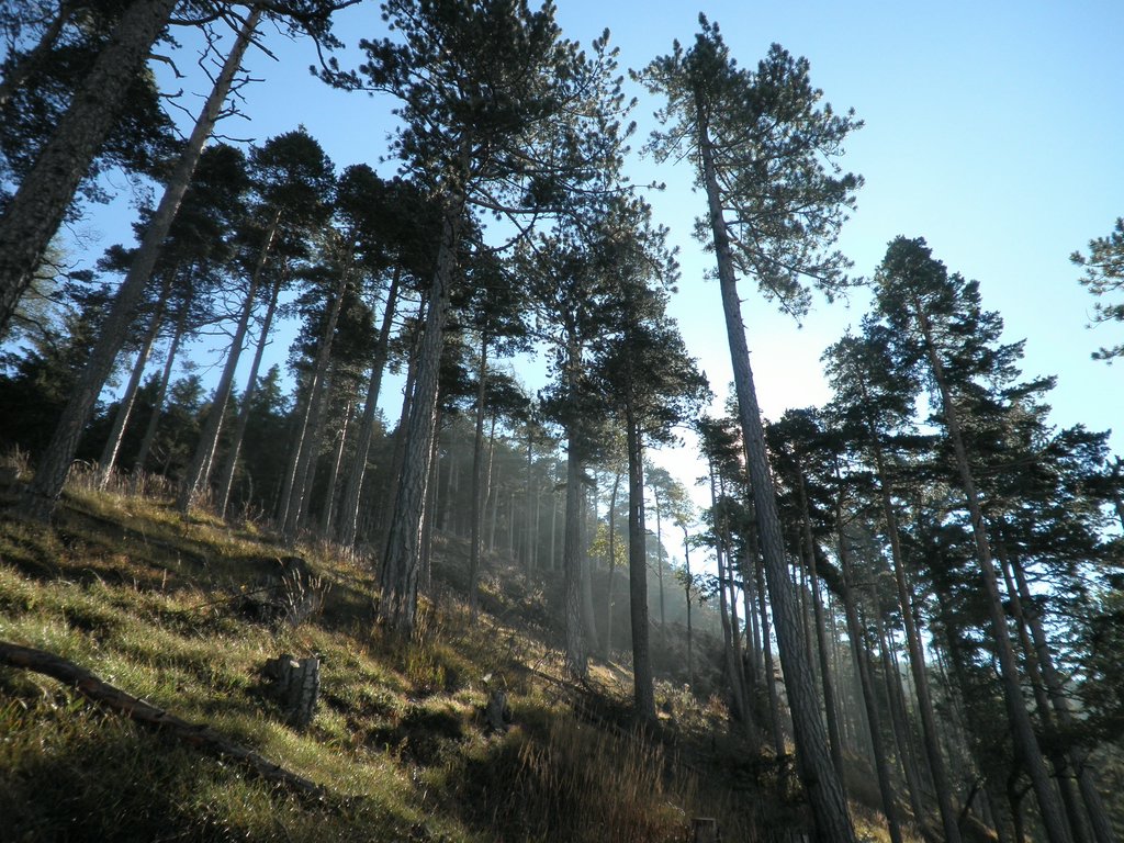 PA020019.JPG