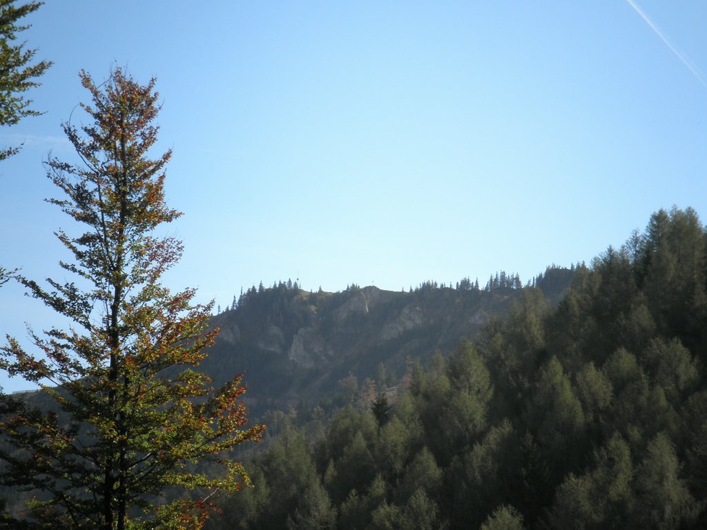 PA020024.JPG