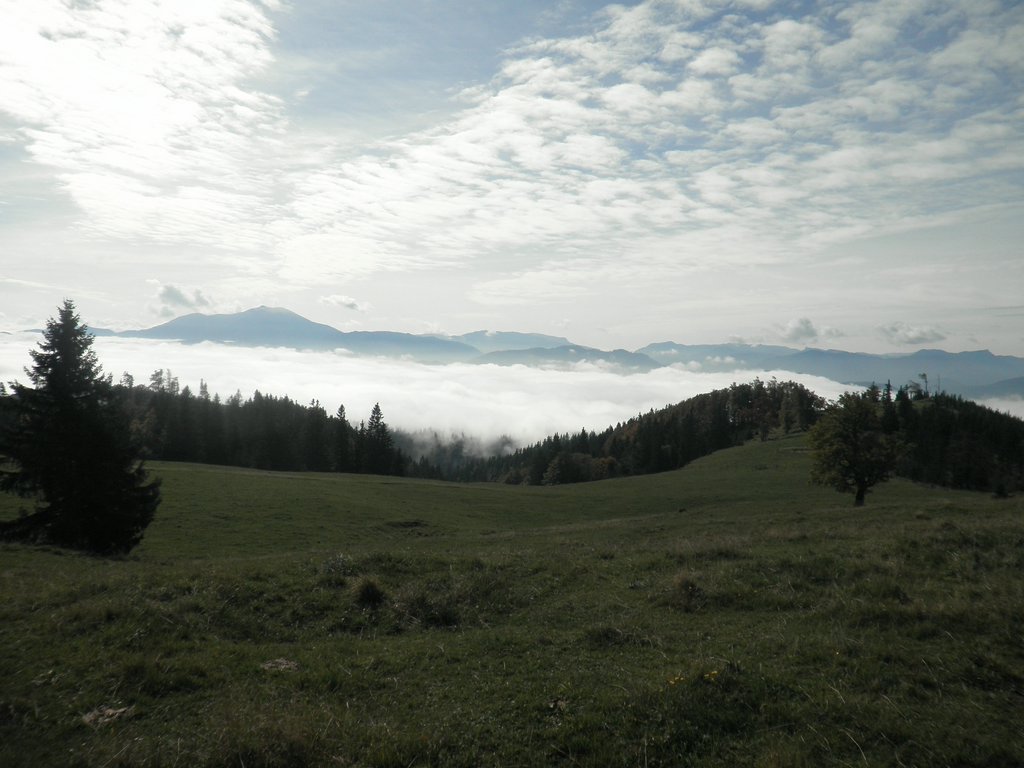 PA020026.JPG