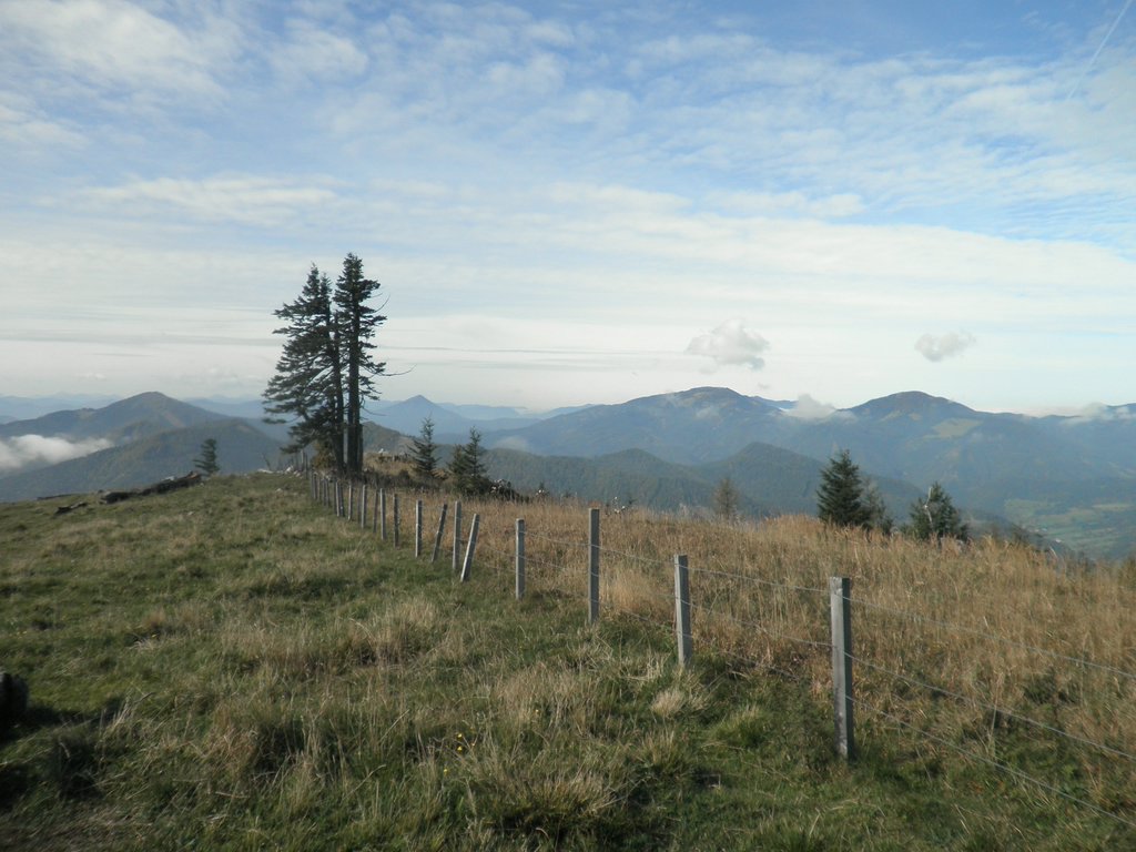 PA020027.JPG