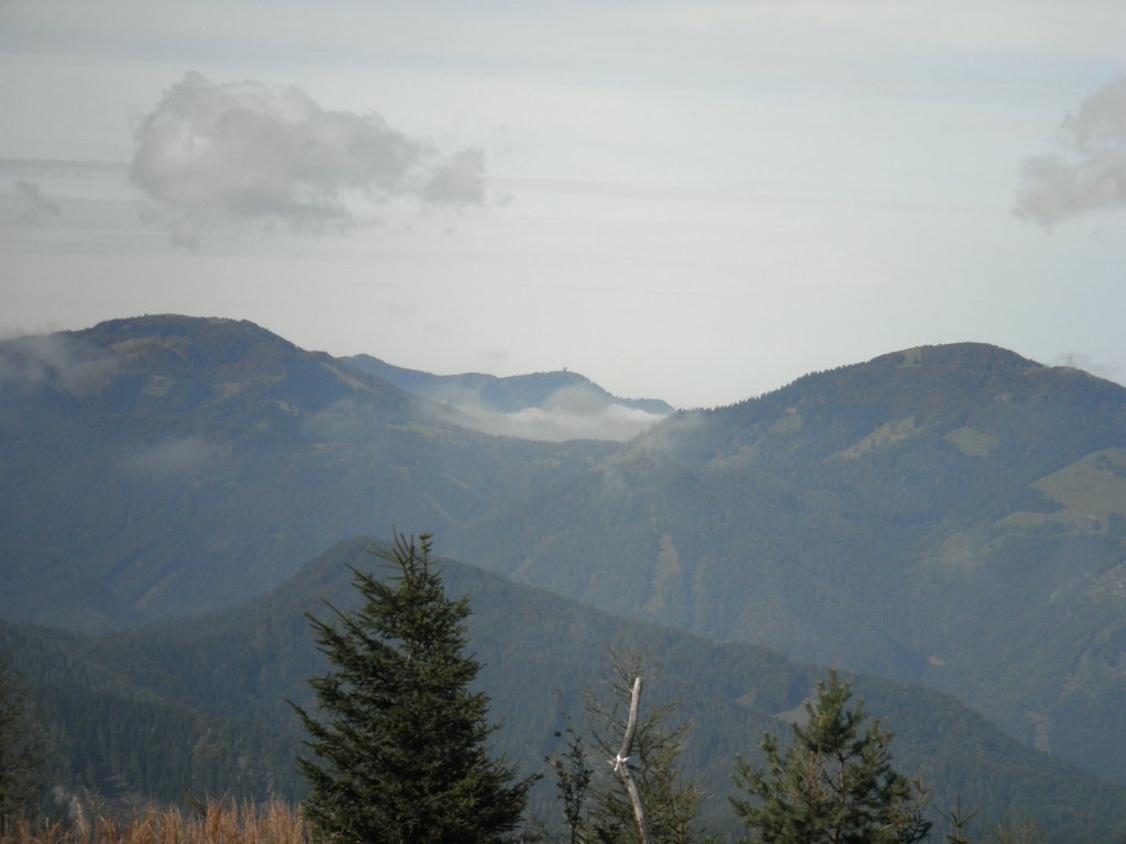 PA020033.JPG