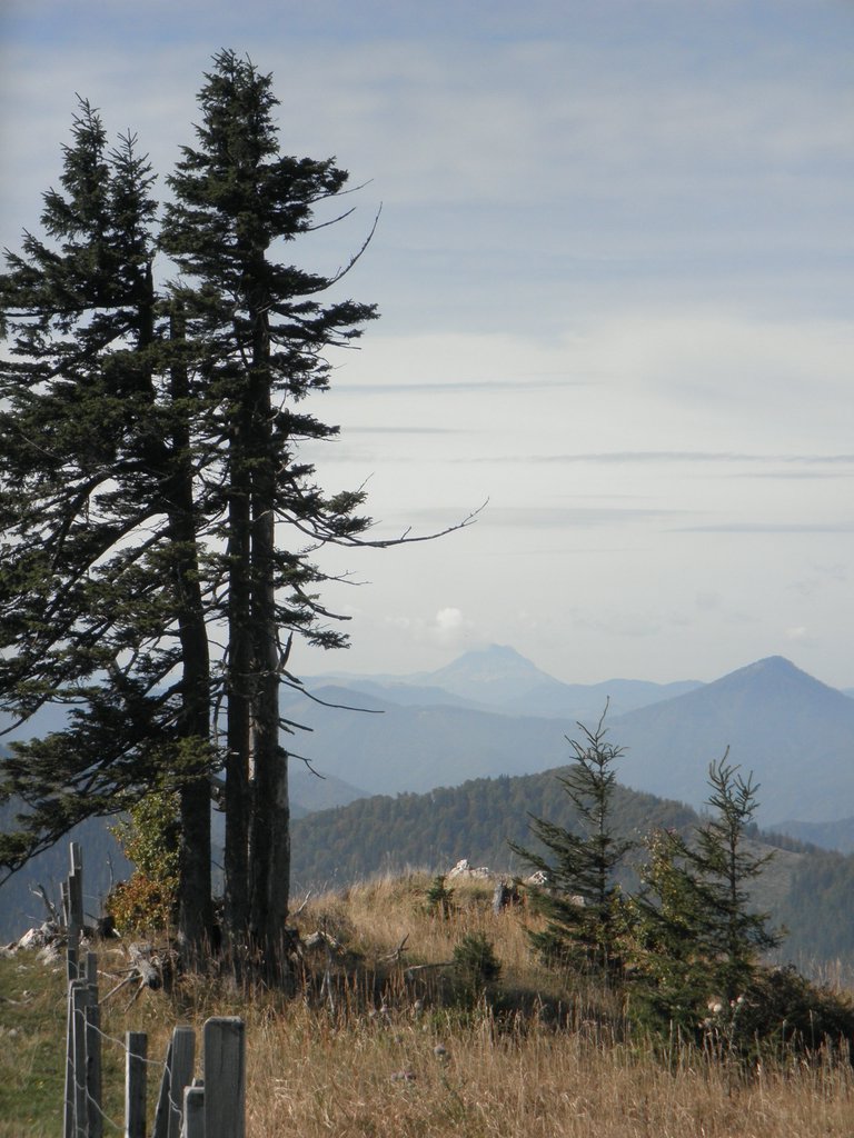 PA020034.JPG