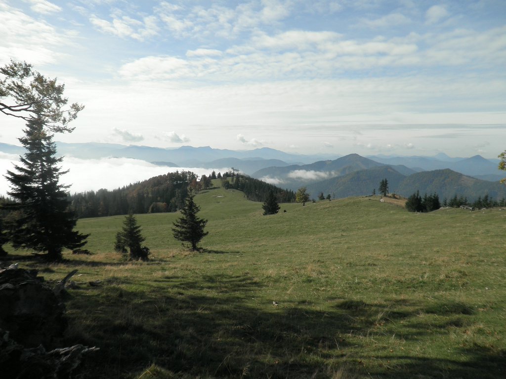 PA020035.JPG