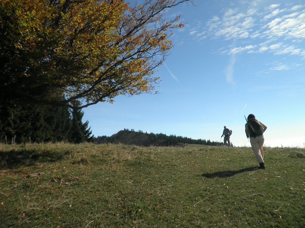 PA020036.JPG