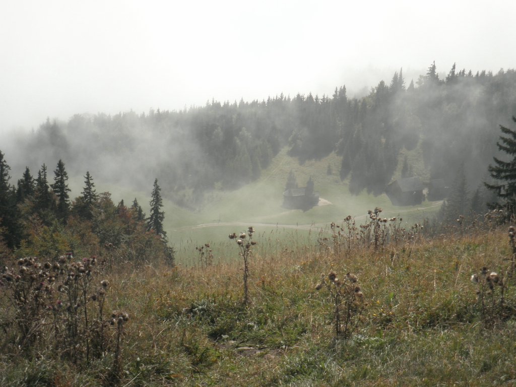 PA020050.JPG
