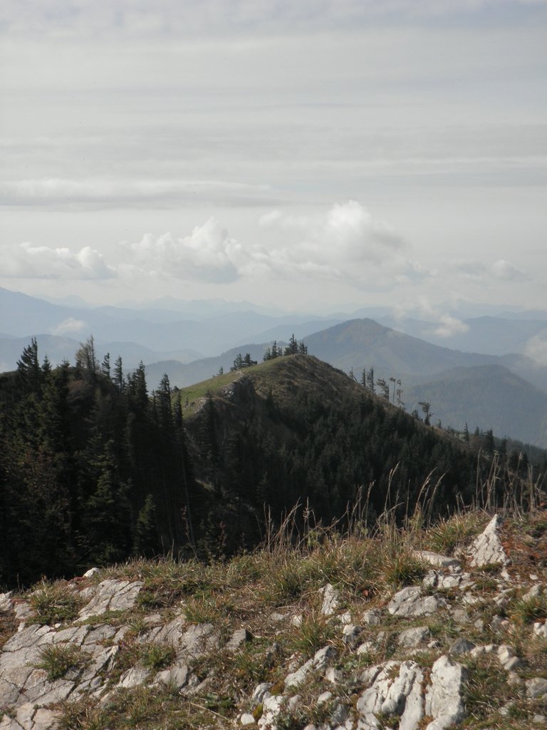 PA020051.JPG