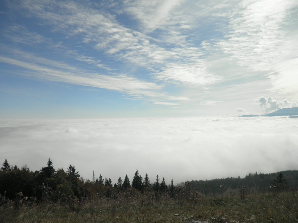 PA020052.JPG