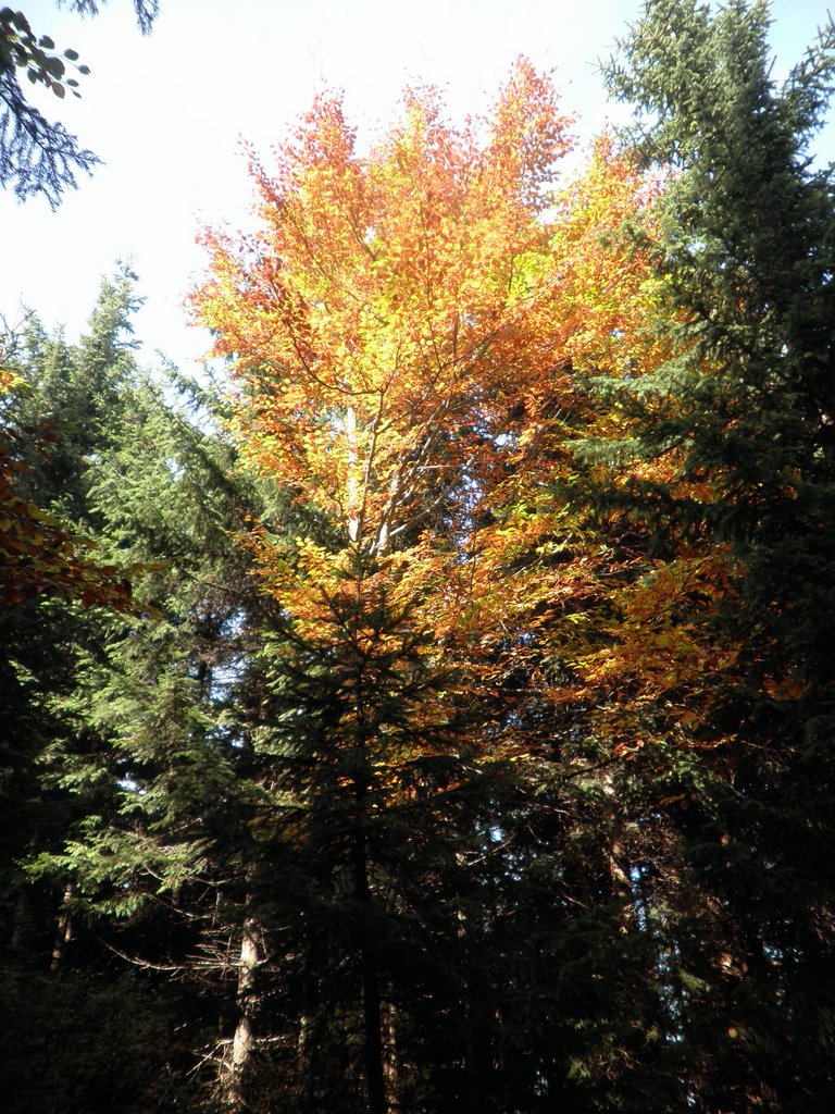 PA020063.JPG