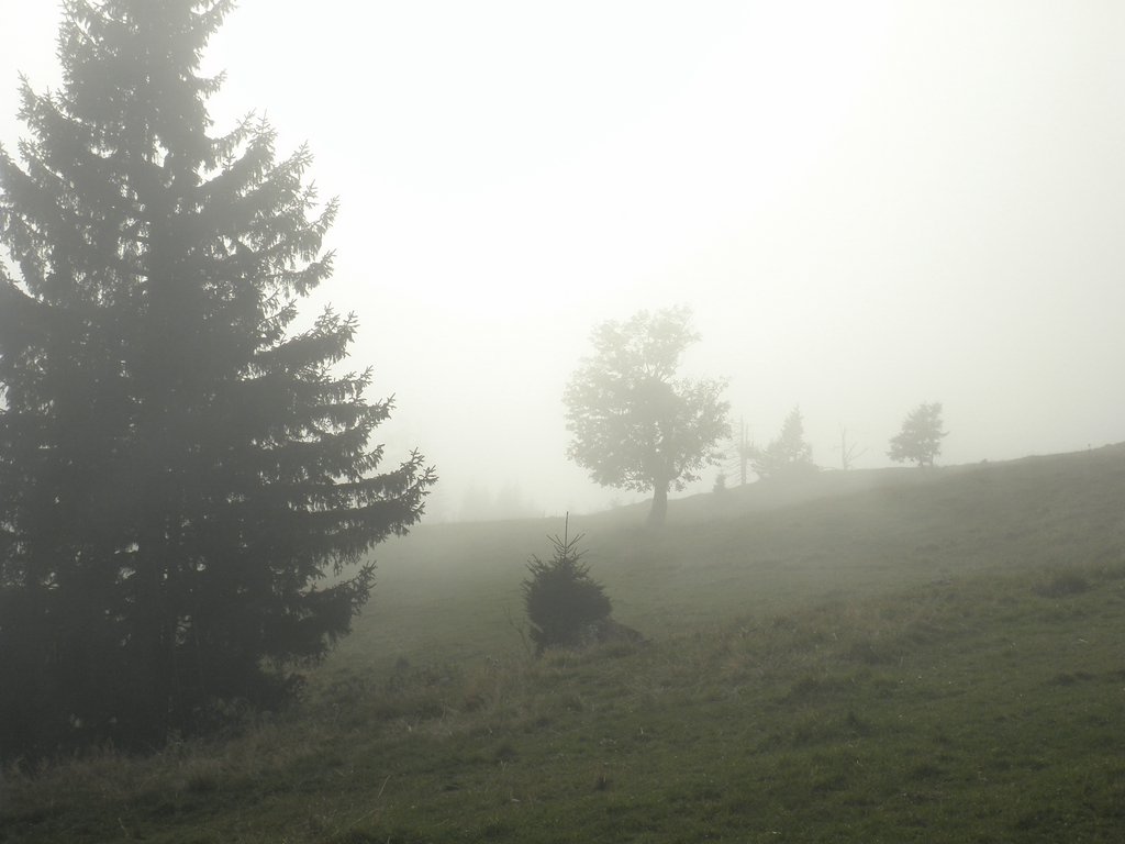PA020090.JPG