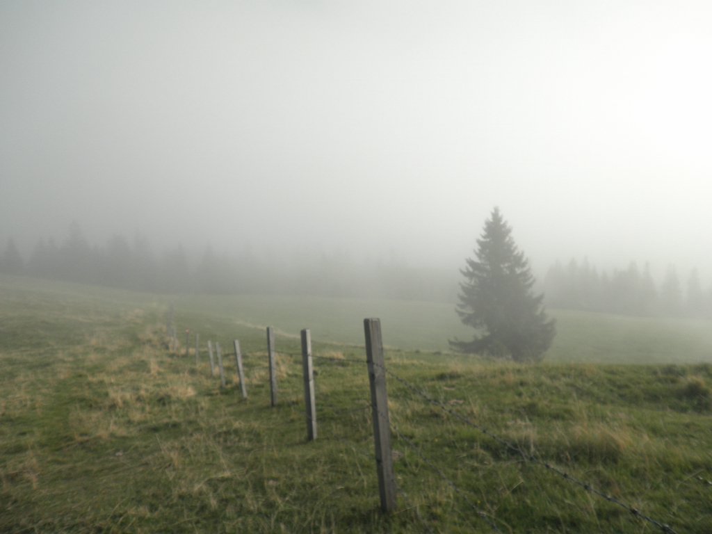 PA020092.JPG