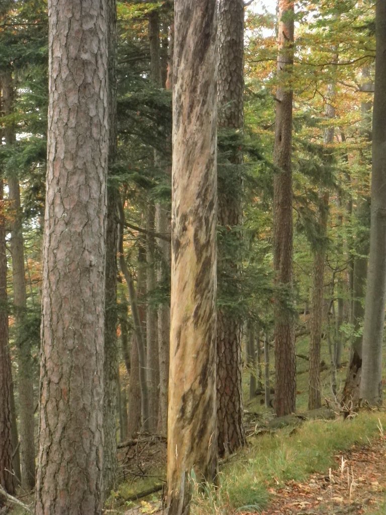 PA020095.JPG