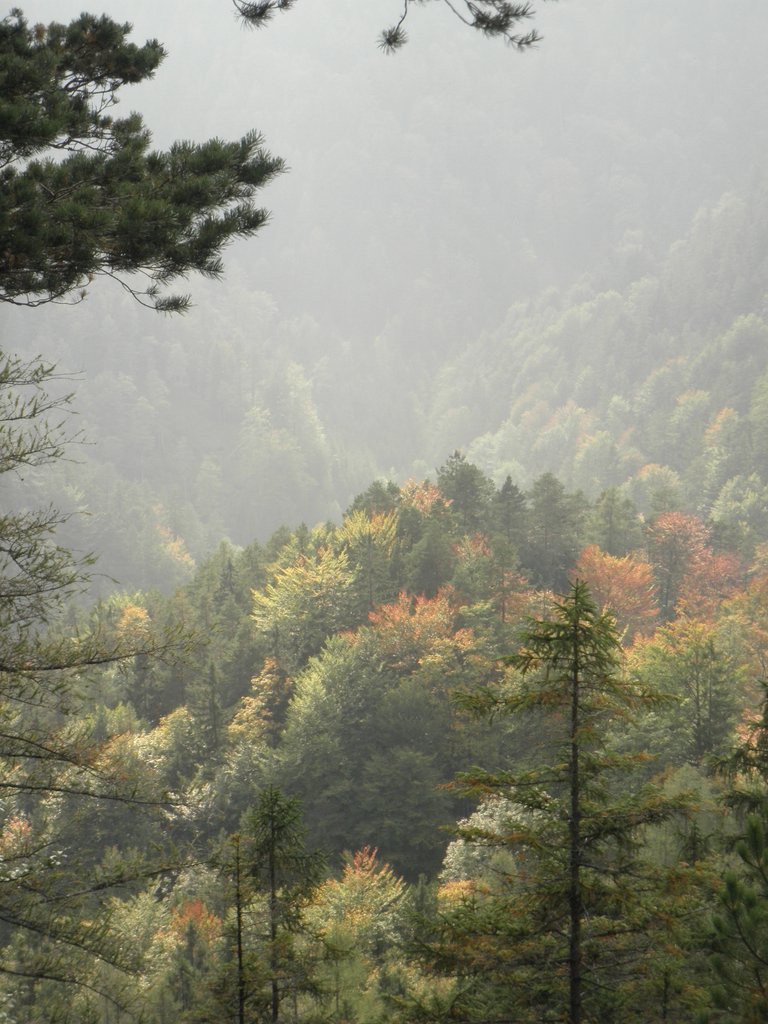 PA020098.JPG