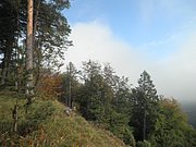 PA020013.JPG