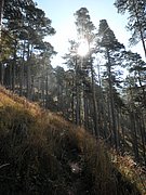 PA020018.JPG