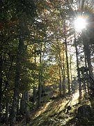 PA020025.JPG