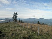 PA020027.JPG