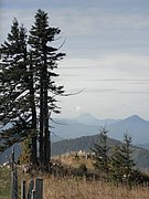 PA020034.JPG