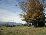 PA020038.JPG