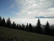 PA020042.JPG