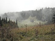 PA020050.JPG