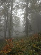 PA020066.JPG