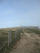 PA020082.JPG