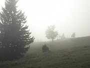 PA020090.JPG