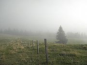PA020092.JPG