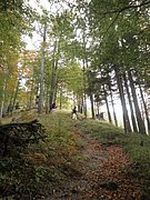 PA020093.JPG