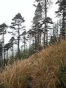 PA020096.JPG