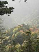 PA020098.JPG