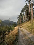 PA020099.JPG