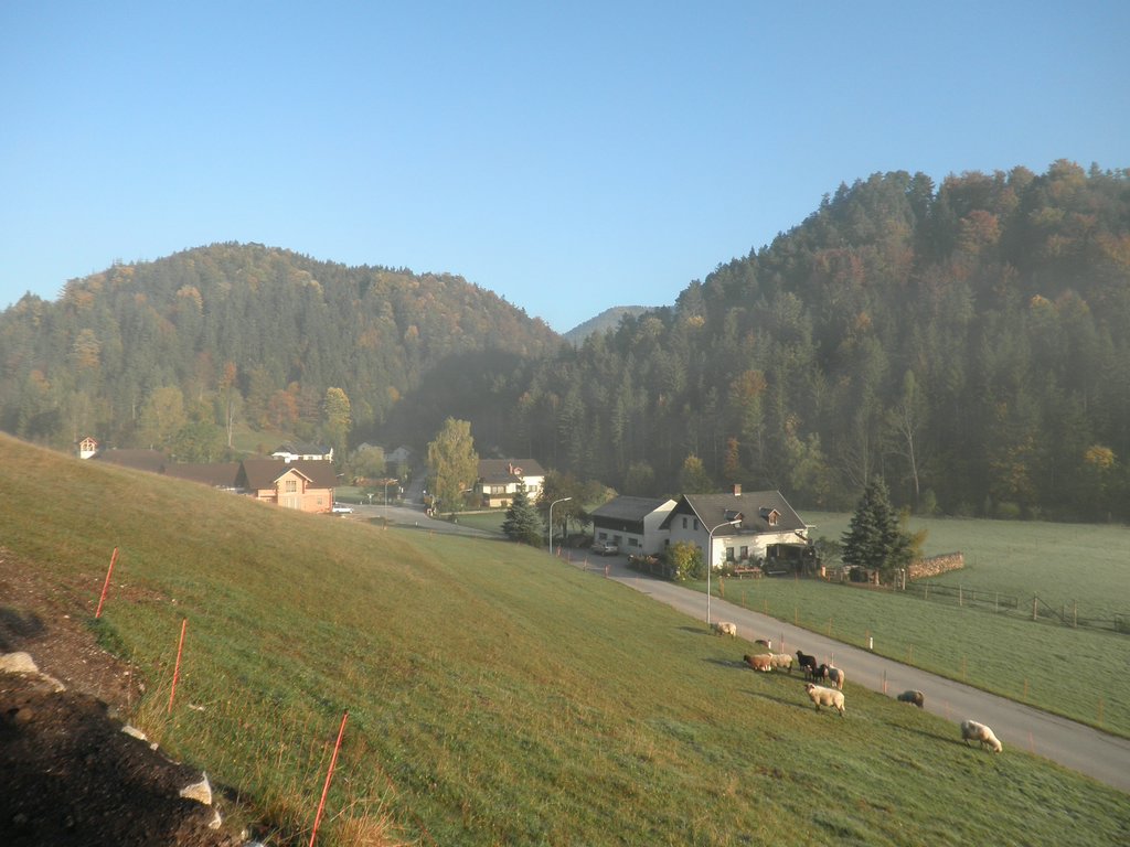 PA100007.JPG