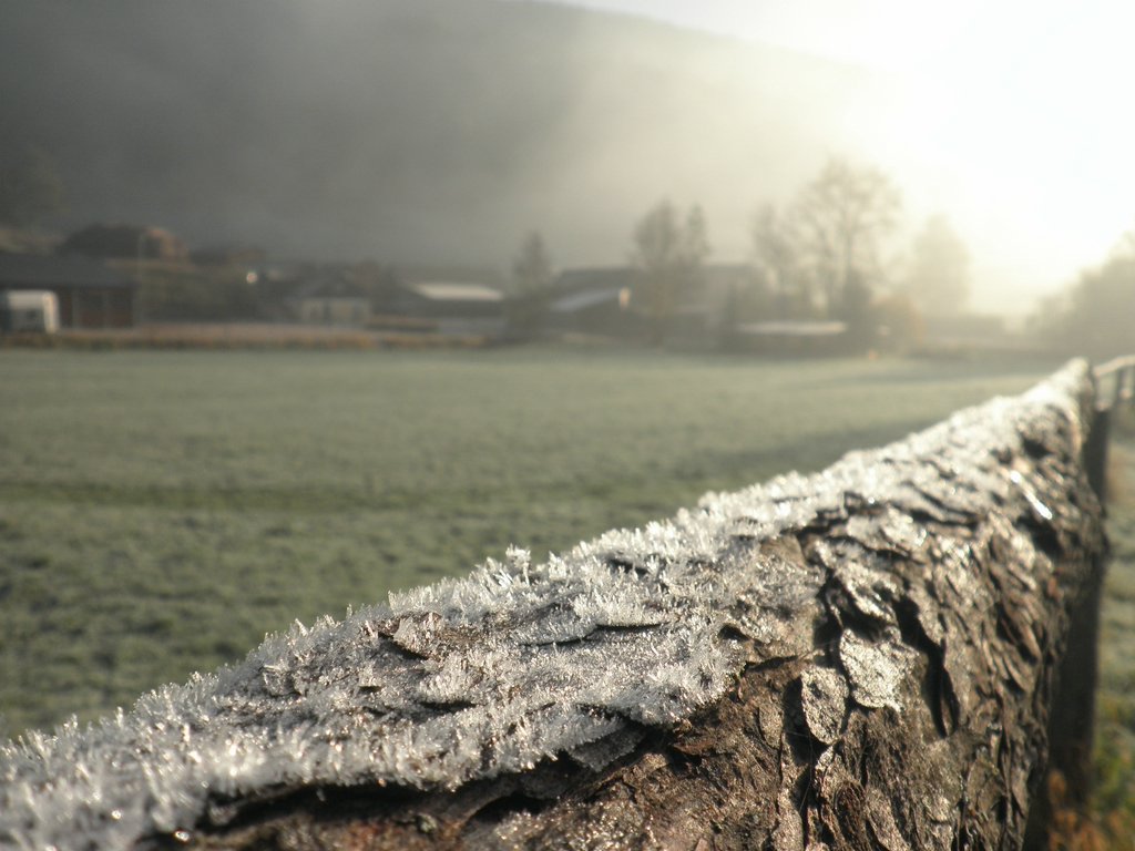 PA100010.JPG