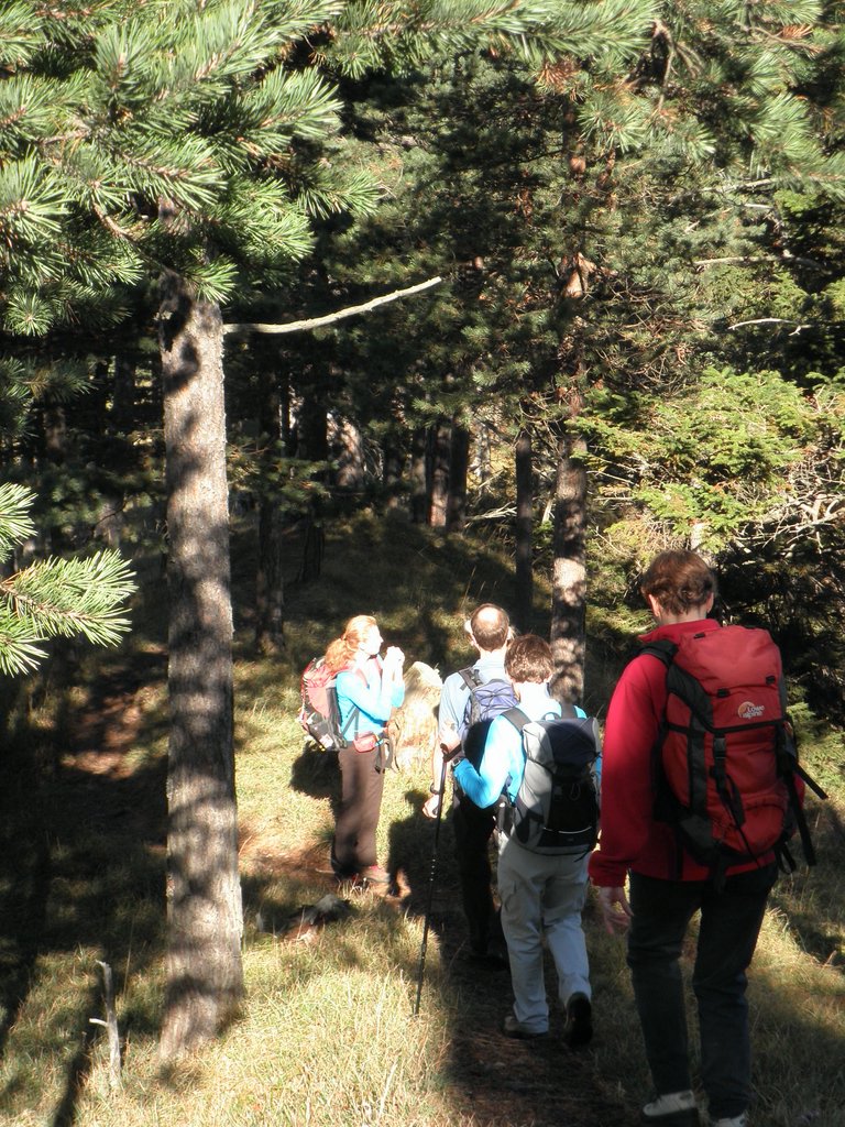 PA100017.JPG