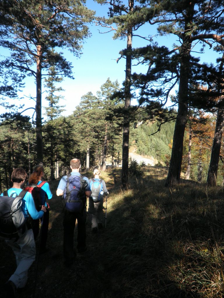 PA100019.JPG
