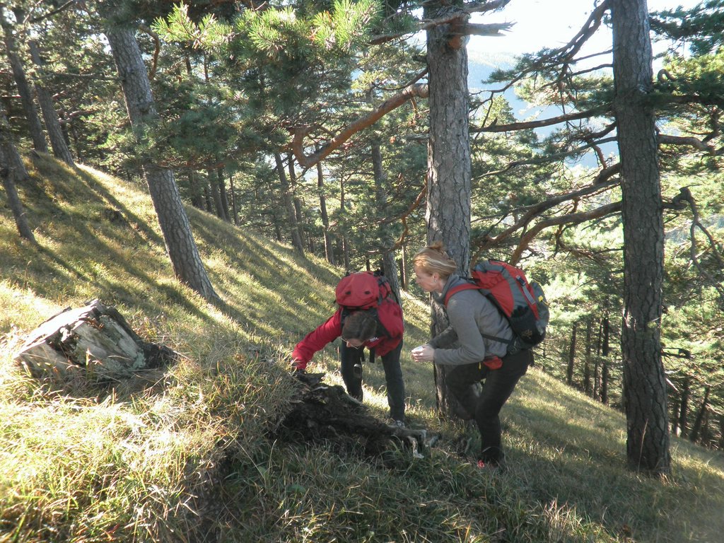 PA100023.JPG