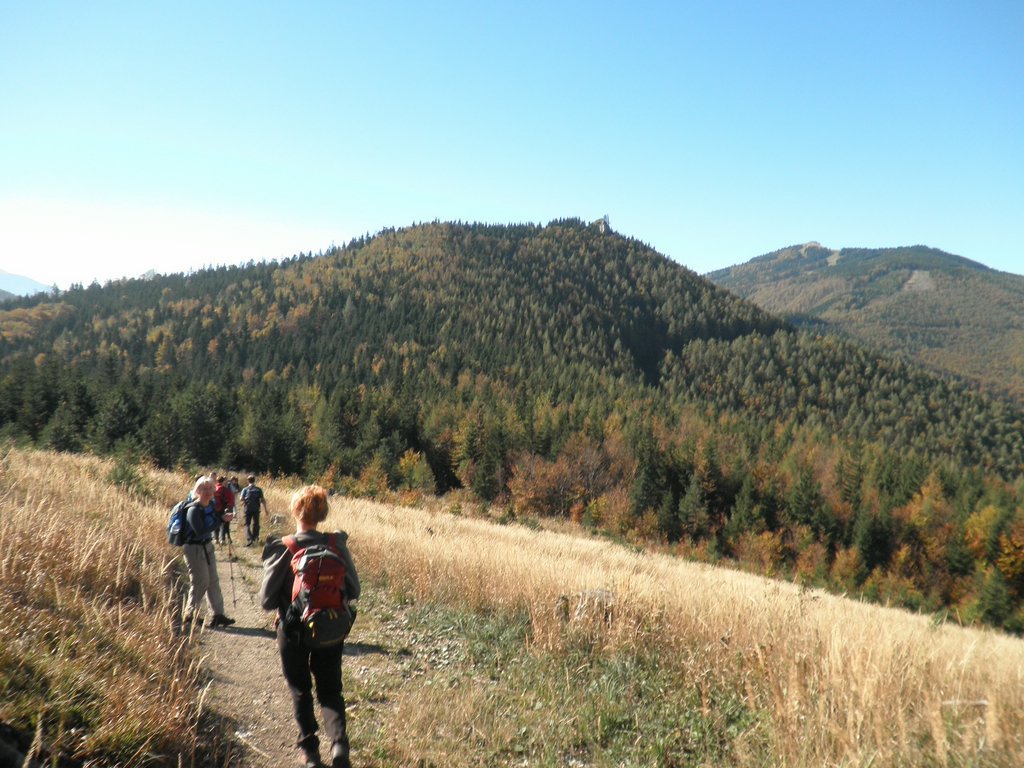 PA100028.JPG