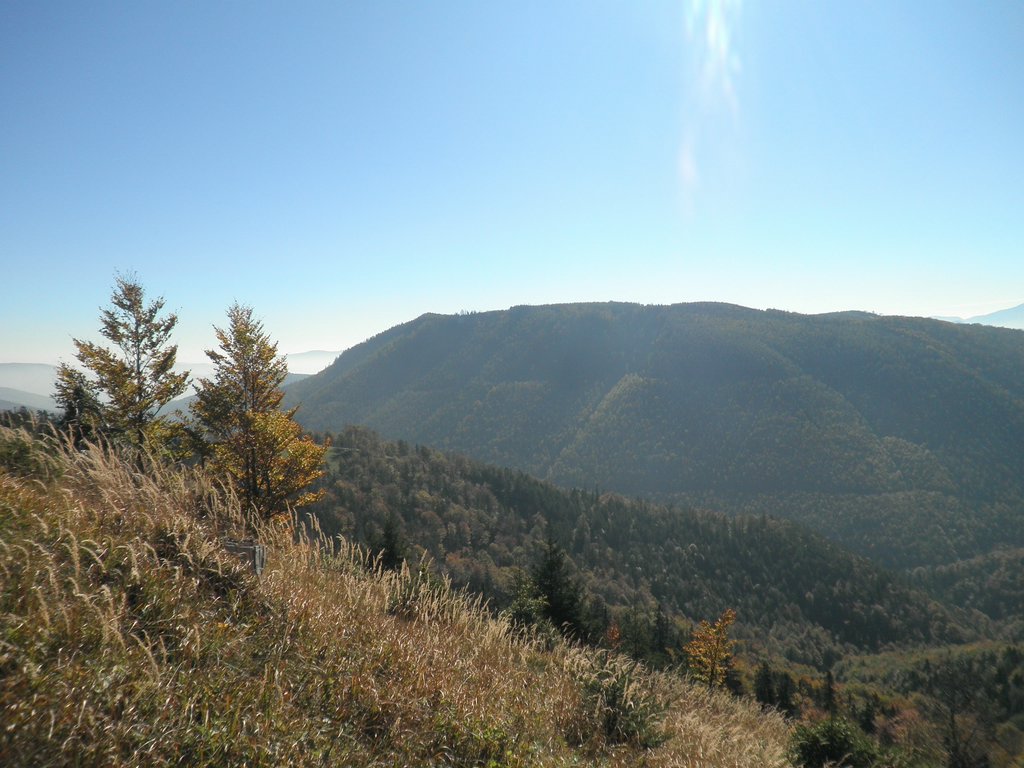 PA100038.JPG