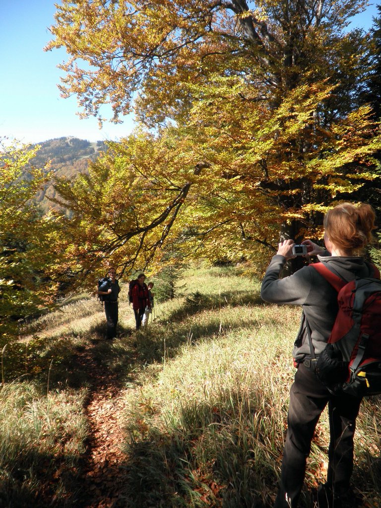 PA100042.JPG