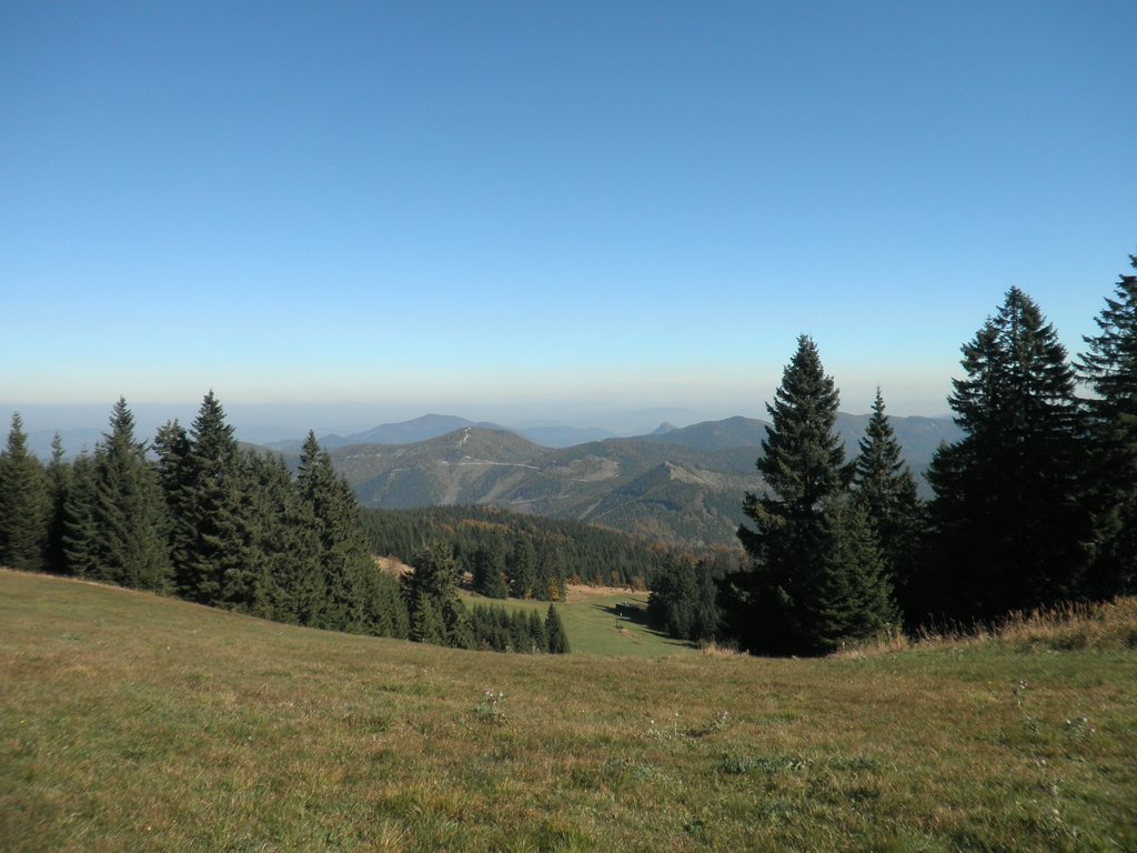 PA100046.JPG