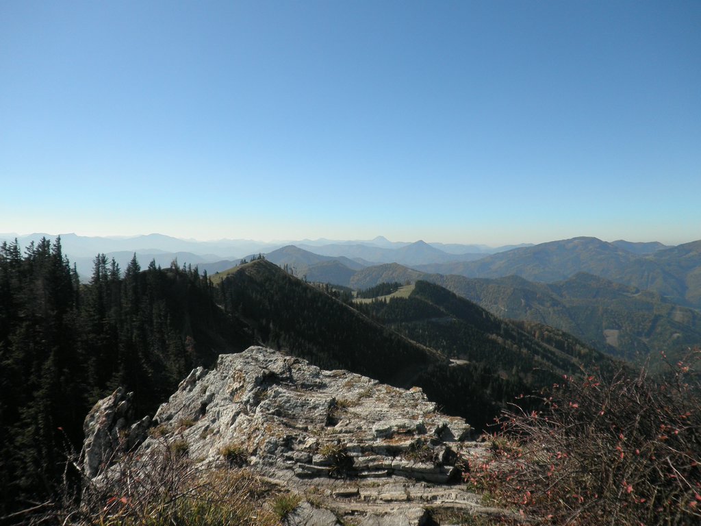 PA100050.JPG