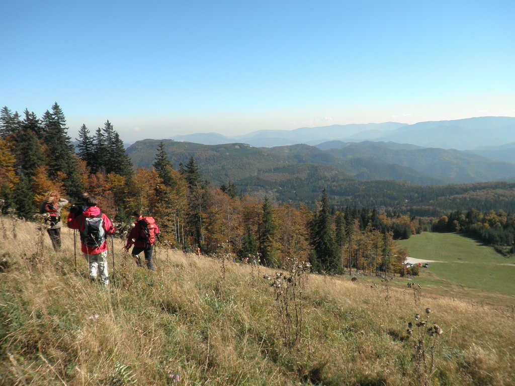 PA100056.JPG