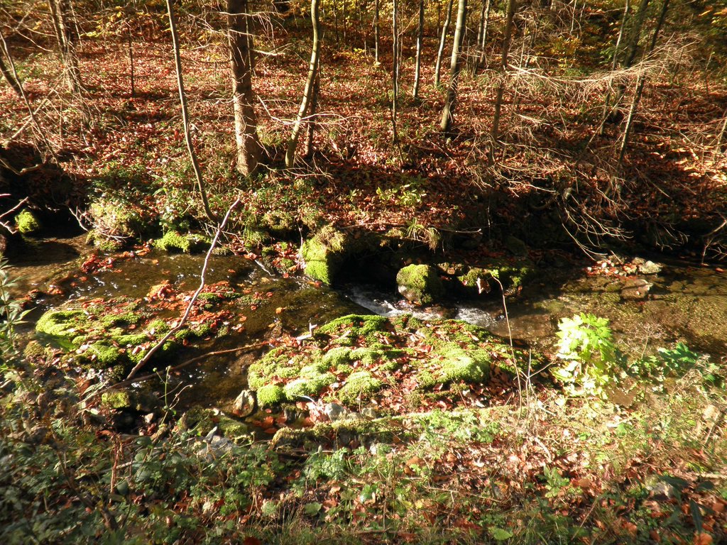 PA100066.JPG