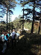 PA100019.JPG