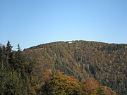 PA100020.JPG