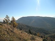 PA100038.JPG