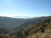 PA100039.JPG